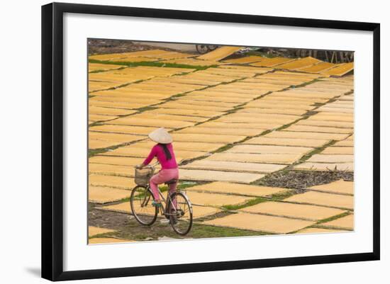 Cycling Past Drying Sheets of Mien Noodle, Nr Hanoi, Vietnam-Peter Adams-Framed Photographic Print