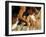 Cycling Spinning Class in Action-null-Framed Photographic Print