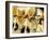 Cycling Spinning Class in Action-null-Framed Photographic Print