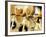 Cycling Spinning Class in Action-null-Framed Photographic Print