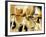 Cycling Spinning Class in Action-null-Framed Photographic Print