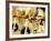 Cycling Spinning Class in Action-null-Framed Photographic Print