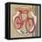 Cycling Team-Sam Appleman-Framed Stretched Canvas