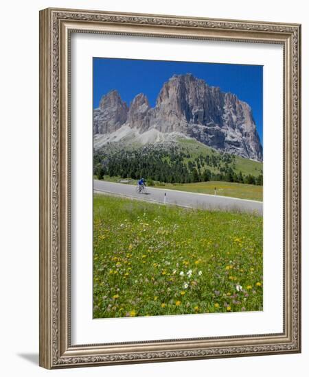 Cyclist and Sassolungo Group, Sella Pass, Trento and Bolzano Provinces, Italian Dolomites, Italy-Frank Fell-Framed Photographic Print