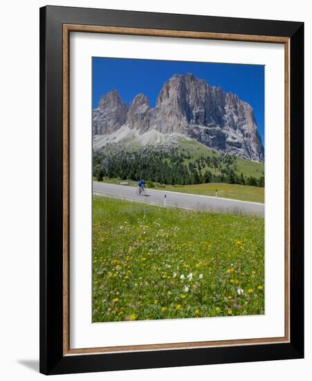 Cyclist and Sassolungo Group, Sella Pass, Trento and Bolzano Provinces, Italian Dolomites, Italy-Frank Fell-Framed Photographic Print