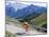 Cyclist Riding Over Sella Pass, 2244M, Dolomites, Alto Adige, Italy-Richard Nebesky-Mounted Photographic Print