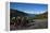 Cyclists Above Lough Nafooey, Shot from the County Mayo Side of the Border-null-Framed Stretched Canvas