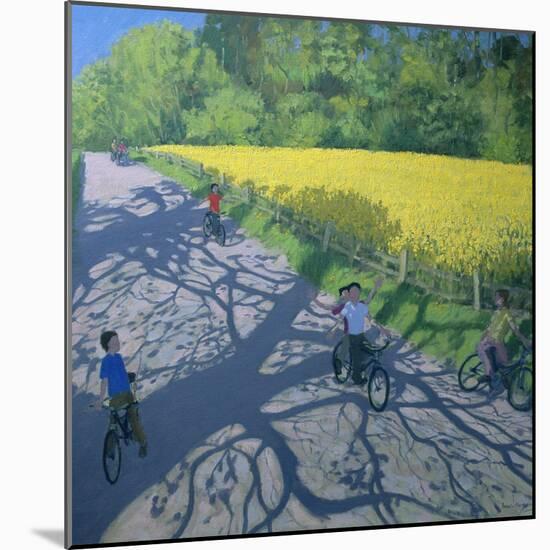 Cyclists and Yellow Field, Kedleston, Derby-Andrew Macara-Mounted Giclee Print