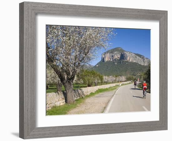 Cyclists on Country Road, Alaro, Mallorca, Balearic Islands, Spain, Europe-Ruth Tomlinson-Framed Photographic Print