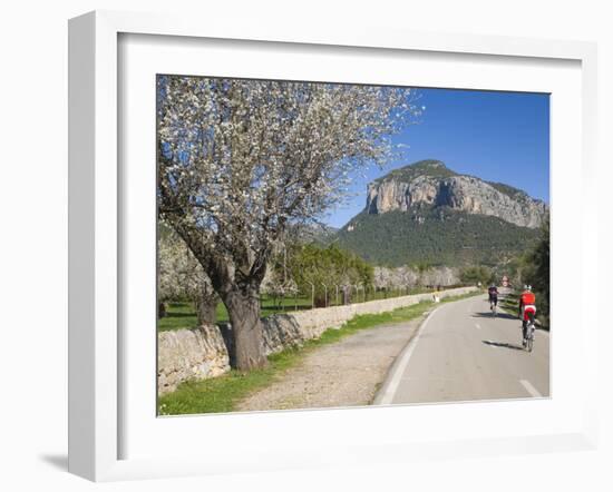 Cyclists on Country Road, Alaro, Mallorca, Balearic Islands, Spain, Europe-Ruth Tomlinson-Framed Photographic Print