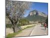 Cyclists on Country Road, Alaro, Mallorca, Balearic Islands, Spain, Europe-Ruth Tomlinson-Mounted Photographic Print