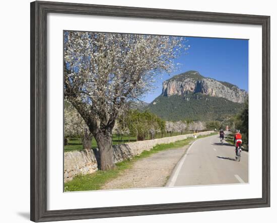 Cyclists on Country Road, Alaro, Mallorca, Balearic Islands, Spain, Europe-Ruth Tomlinson-Framed Photographic Print