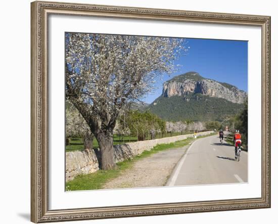 Cyclists on Country Road, Alaro, Mallorca, Balearic Islands, Spain, Europe-Ruth Tomlinson-Framed Photographic Print