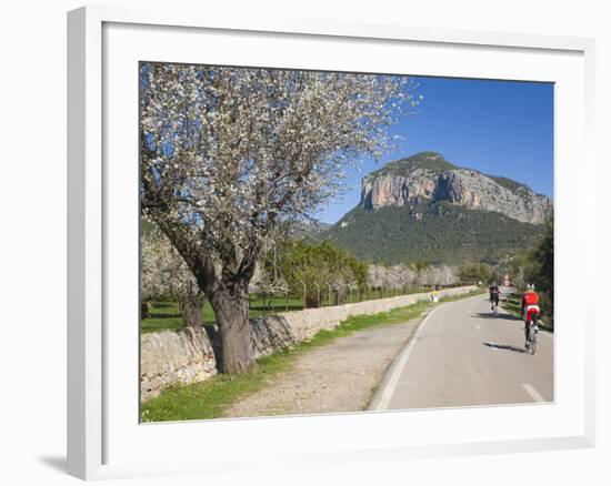 Cyclists on Country Road, Alaro, Mallorca, Balearic Islands, Spain, Europe-Ruth Tomlinson-Framed Photographic Print