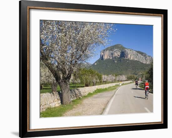 Cyclists on Country Road, Alaro, Mallorca, Balearic Islands, Spain, Europe-Ruth Tomlinson-Framed Photographic Print