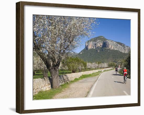 Cyclists on Country Road, Alaro, Mallorca, Balearic Islands, Spain, Europe-Ruth Tomlinson-Framed Photographic Print