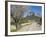 Cyclists on Country Road, Alaro, Mallorca, Balearic Islands, Spain, Europe-Ruth Tomlinson-Framed Photographic Print