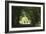 Cyclists Tunnel-Charles Bowman-Framed Photographic Print