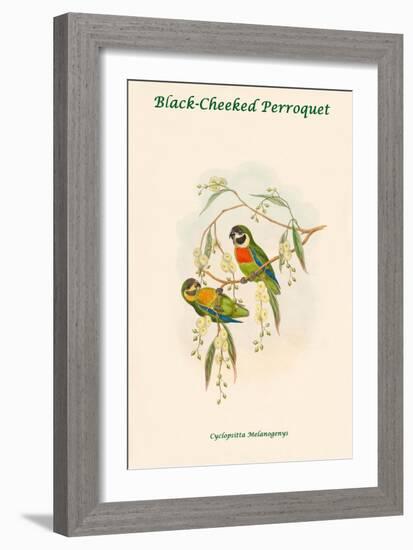 Cyclopsitta Melanogenys - Black-Cheeked Perroquet-John Gould-Framed Art Print