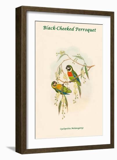 Cyclopsitta Melanogenys - Black-Cheeked Perroquet-John Gould-Framed Art Print