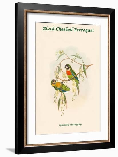 Cyclopsitta Melanogenys - Black-Cheeked Perroquet-John Gould-Framed Art Print