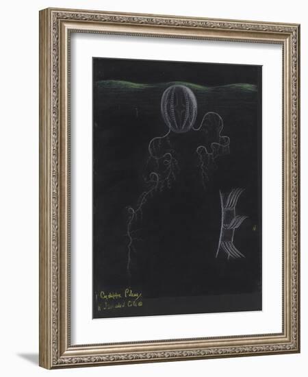 Cydippe Pileus: Sea Gooseberry-Philip Henry Gosse-Framed Giclee Print