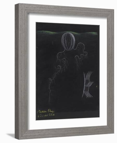 Cydippe Pileus: Sea Gooseberry-Philip Henry Gosse-Framed Giclee Print