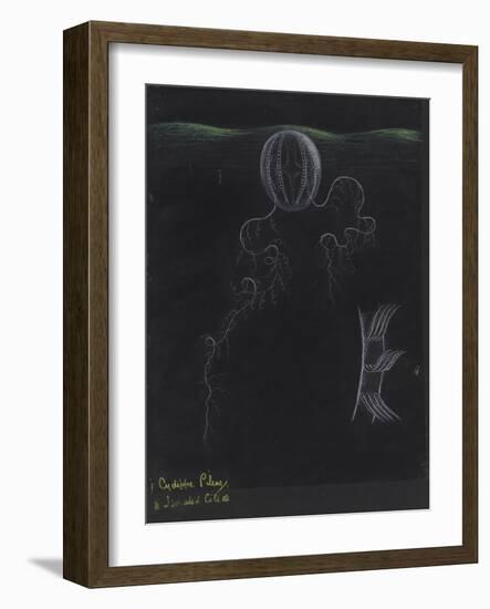 Cydippe Pileus: Sea Gooseberry-Philip Henry Gosse-Framed Giclee Print