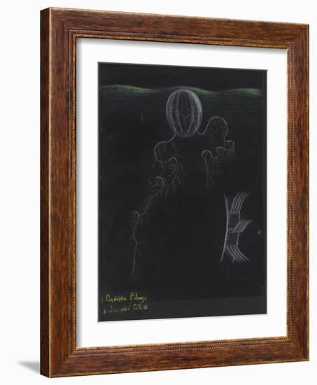 Cydippe Pileus: Sea Gooseberry-Philip Henry Gosse-Framed Giclee Print