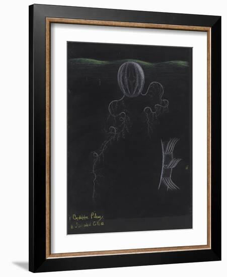 Cydippe Pileus: Sea Gooseberry-Philip Henry Gosse-Framed Giclee Print