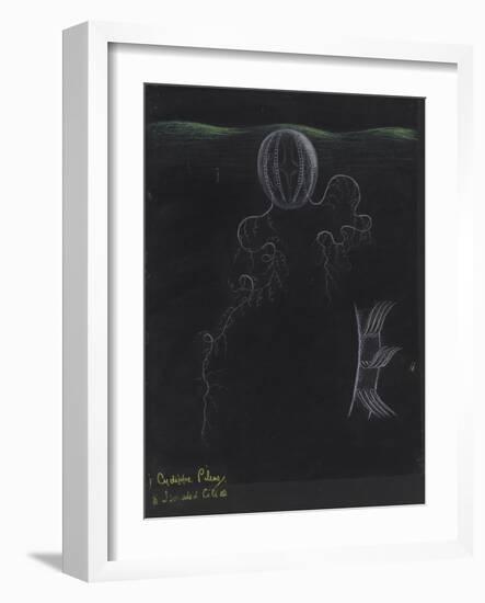 Cydippe Pileus: Sea Gooseberry-Philip Henry Gosse-Framed Giclee Print