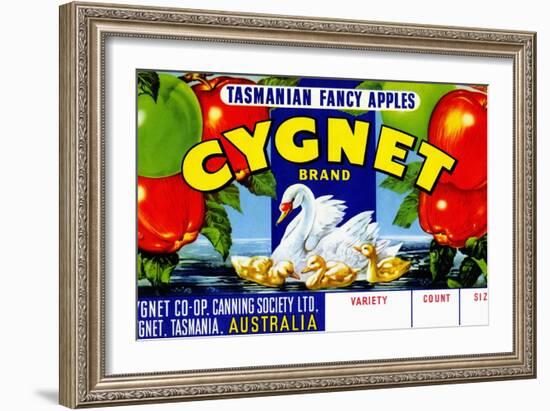 Cygnet Tasmanian Fancy Apples-null-Framed Art Print