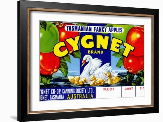 Cygnet Tasmanian Fancy Apples-null-Framed Art Print