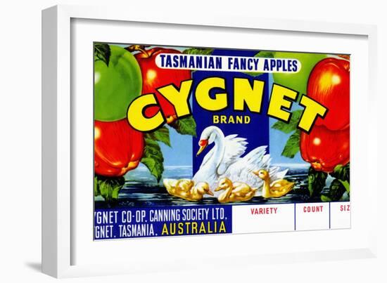 Cygnet Tasmanian Fancy Apples-null-Framed Art Print