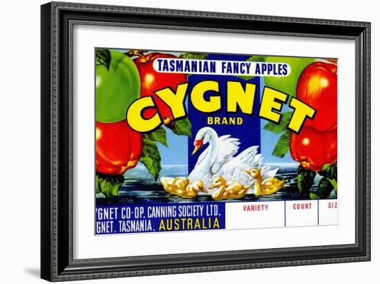 Cygnet Tasmanian Fancy Apples-null-Framed Art Print