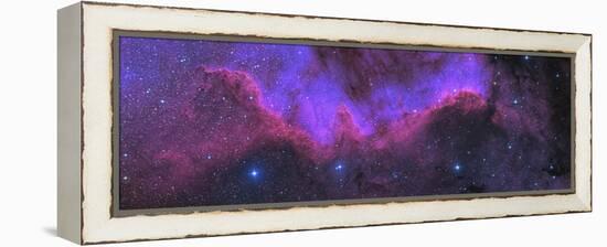 Cygnus Wall, Ngc 7000, the North American Nebula-Stocktrek Images-Framed Premier Image Canvas