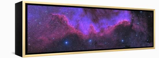 Cygnus Wall, Ngc 7000, the North American Nebula-Stocktrek Images-Framed Premier Image Canvas