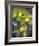 Cymbidium Orchid Green-Igor Maloratsky-Framed Art Print