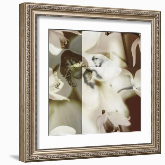 Cymbidium Orchid II-Jane Ann Butler-Framed Giclee Print