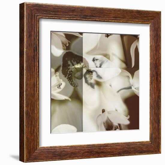 Cymbidium Orchid II-Jane Ann Butler-Framed Giclee Print