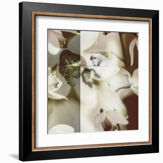 Cymbidium Orchid II-Jane Ann Butler-Framed Giclee Print