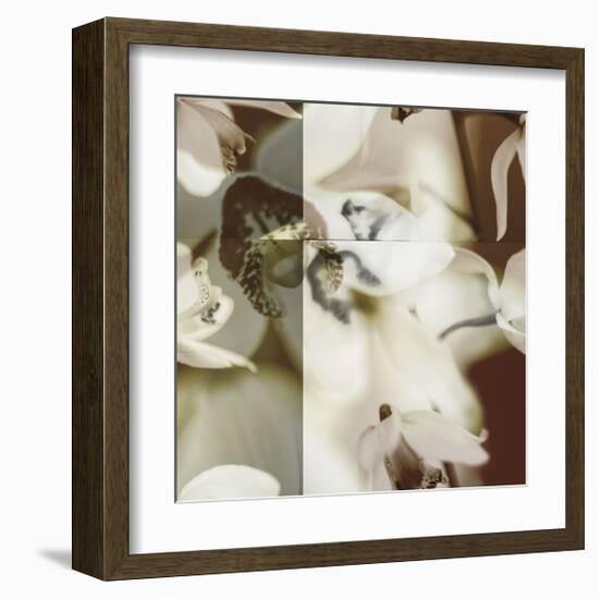 Cymbidium Orchid II-Jane Ann Butler-Framed Giclee Print