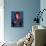 Cyndi Lauper-null-Premium Photographic Print displayed on a wall