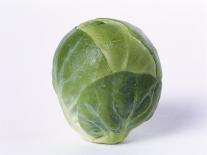A Single Brussels Sprout-Cyndy Black-Photographic Print