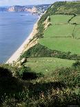 East Devon Coast Path, Near Sidmouth, Devon, England, United Kingdom-Cyndy Black-Photographic Print