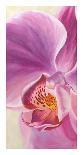 Purple Orchids-Cynthia Ann-Framed Giclee Print