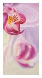 Purple Orchids III-Cynthia Ann-Framed Art Print