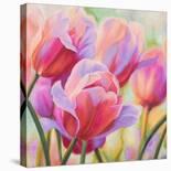 Purple Orchids-Cynthia Ann-Stretched Canvas