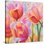 Tulips in Wonderland II-Cynthia Ann-Giclee Print
