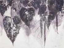 Quercifolia-Cynthia MacCollum-Framed Art Print